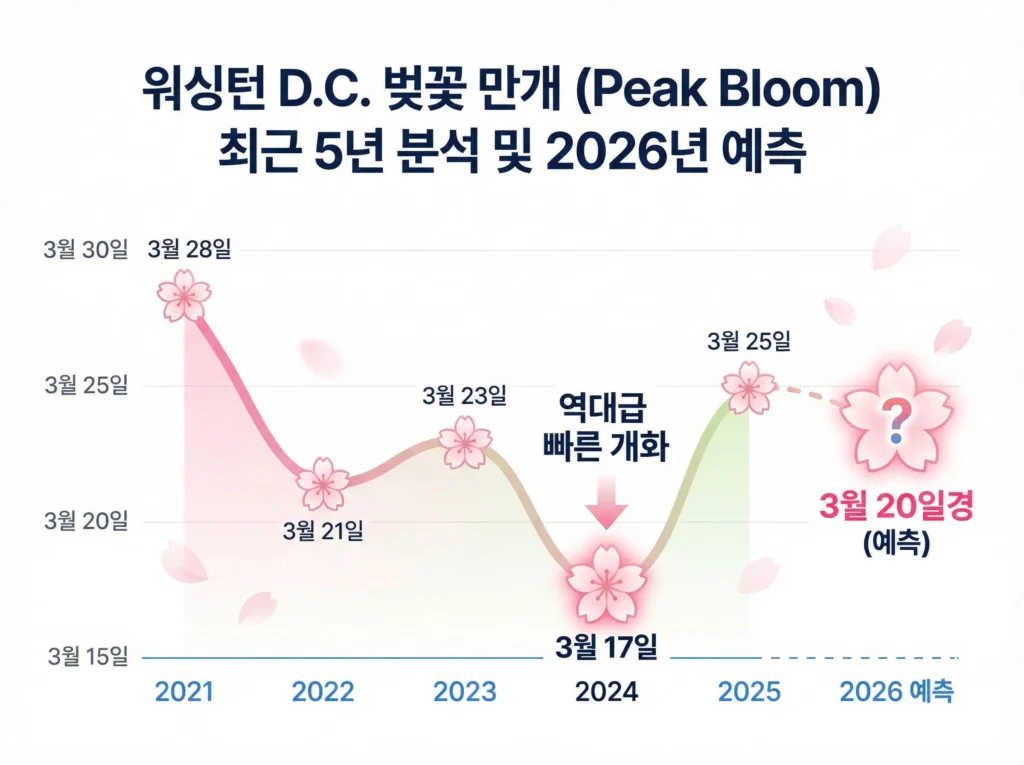 2026 워싱턴 D.C. 벚꽃 만개 예츨. 최근 5년 만개 데이터 분석 그래프. 2026 washington dc cherry blossom forecasting